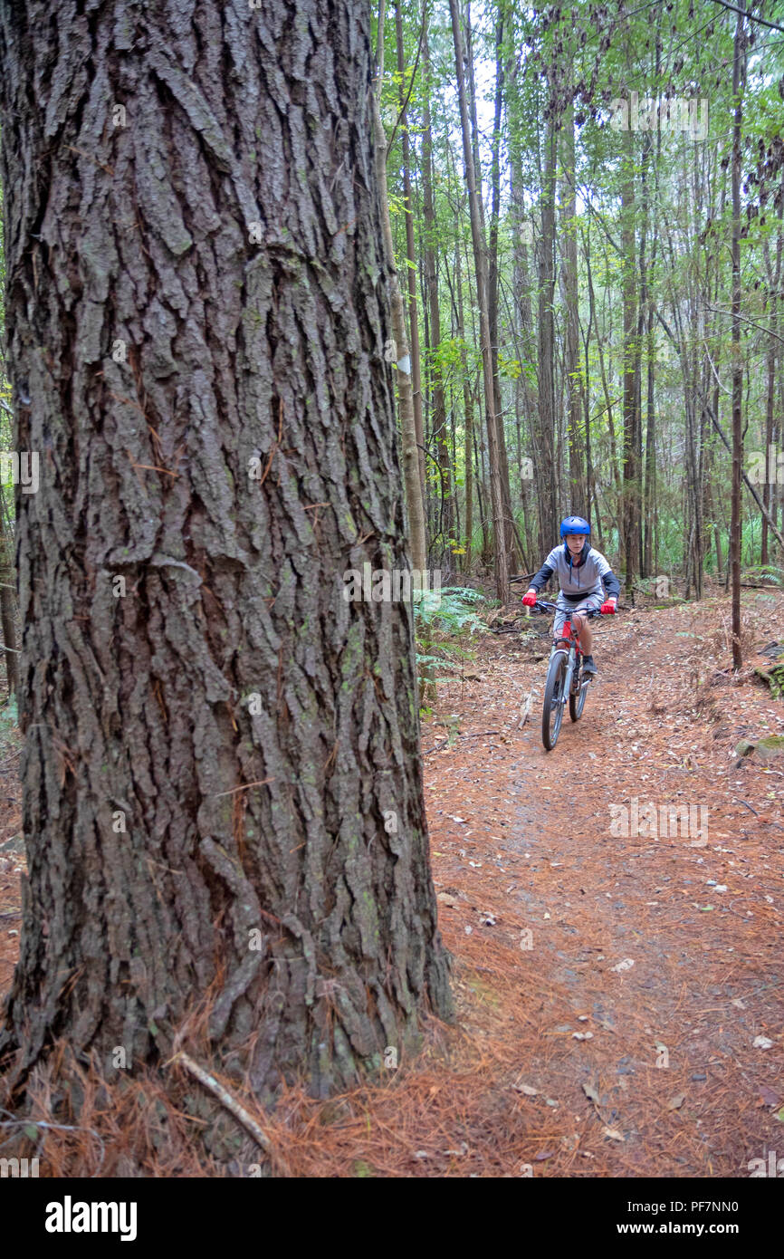 Ragazzo in bicicletta a Hollybank riserva forestale Foto Stock
