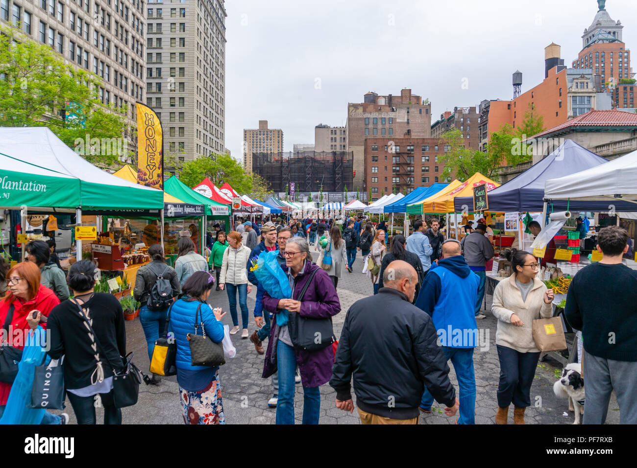 Le persone che visitano un mercato di strada nella città di New York Foto Stock