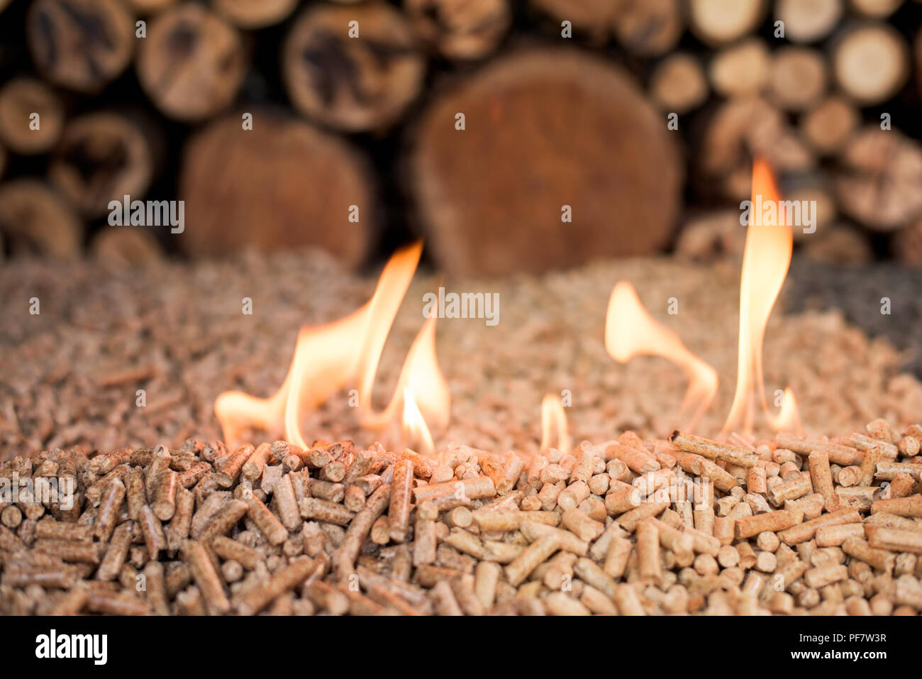 Due tipi di pellet di fronte della catasta di legno in fiamme Foto Stock