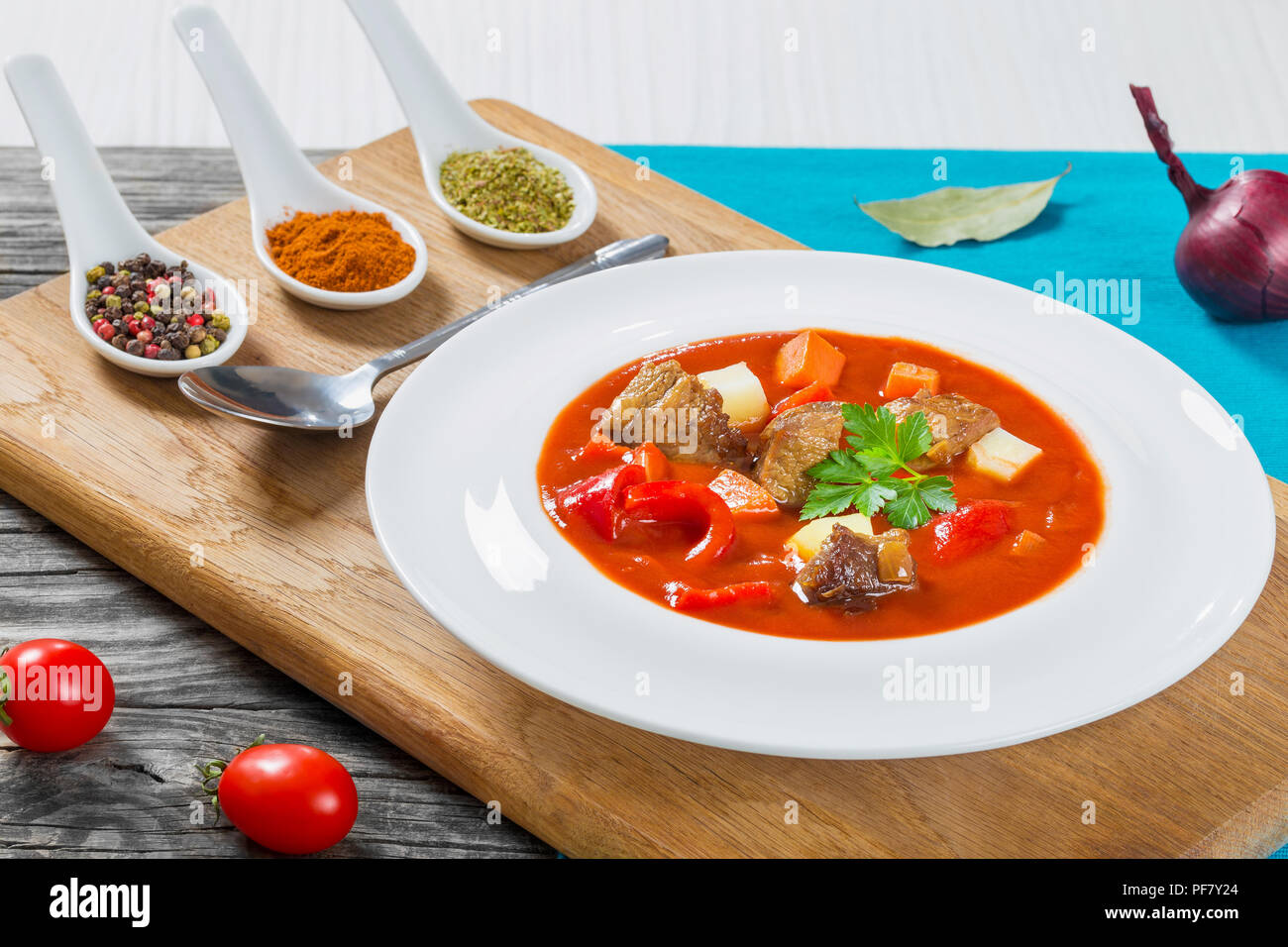 Spezzatino di manzo con verdure, il gulasch, tradizionale ungherese mea Foto Stock