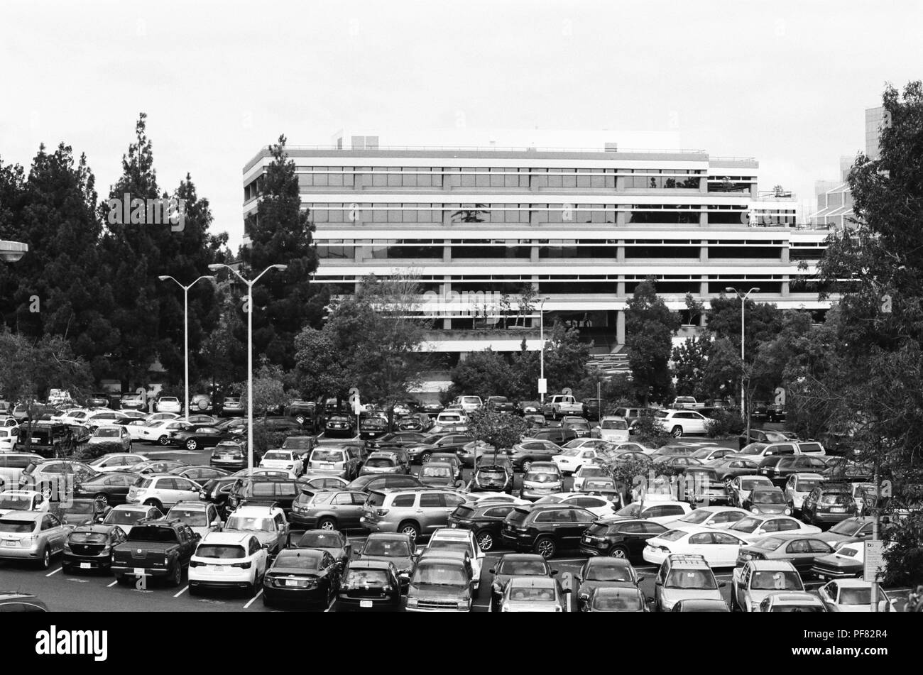 Grande numero di auto nel parcheggio affollata di un ufficio parco in Walnut Creek, California, 13 settembre 2017. () Foto Stock