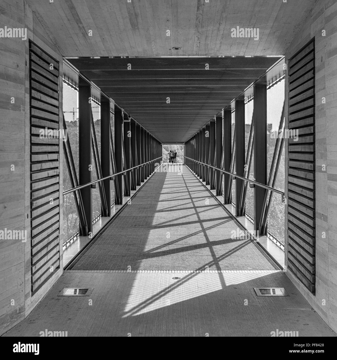 Piscine di fango a Snettisham spiaggia Norfolk Foto Stock