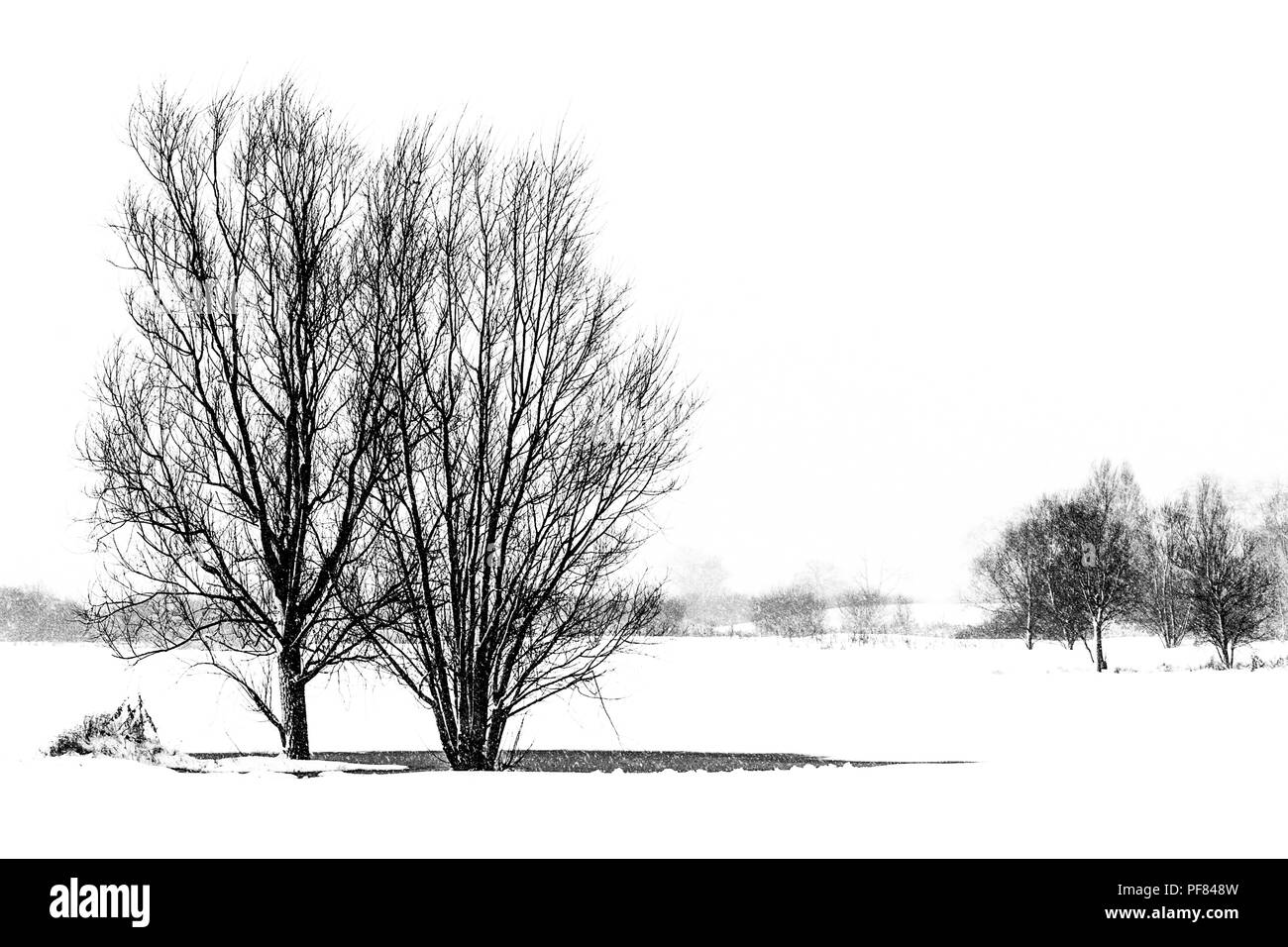 Piscine di fango a Snettisham spiaggia Norfolk Foto Stock