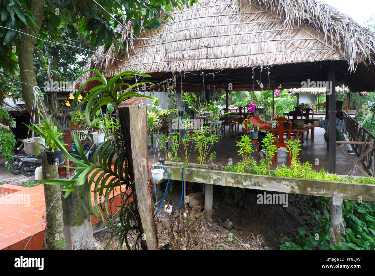 Il Vietnam area da pranzo presso una famiglia lodge nella regione del Delta del Mekong Viet Nam Foto Stock