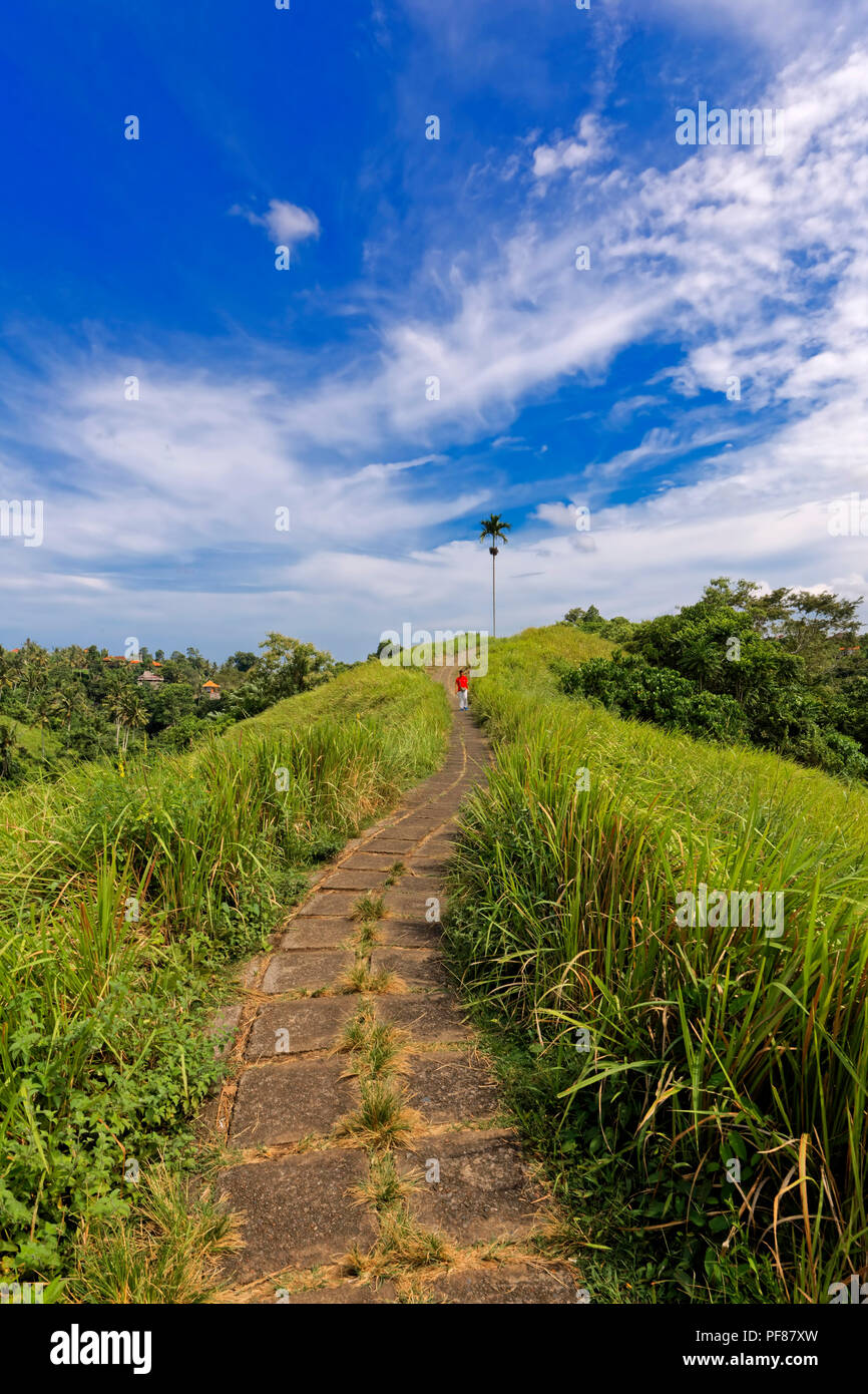 Campuhan (Sayan) Ridge a piedi e in Ubud, Bali Foto Stock