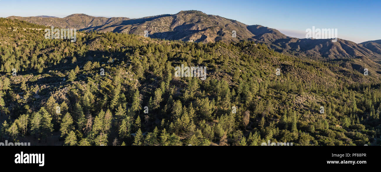 Vista panoramica delle montagne coperte da foreste nel sud della California. Foto Stock