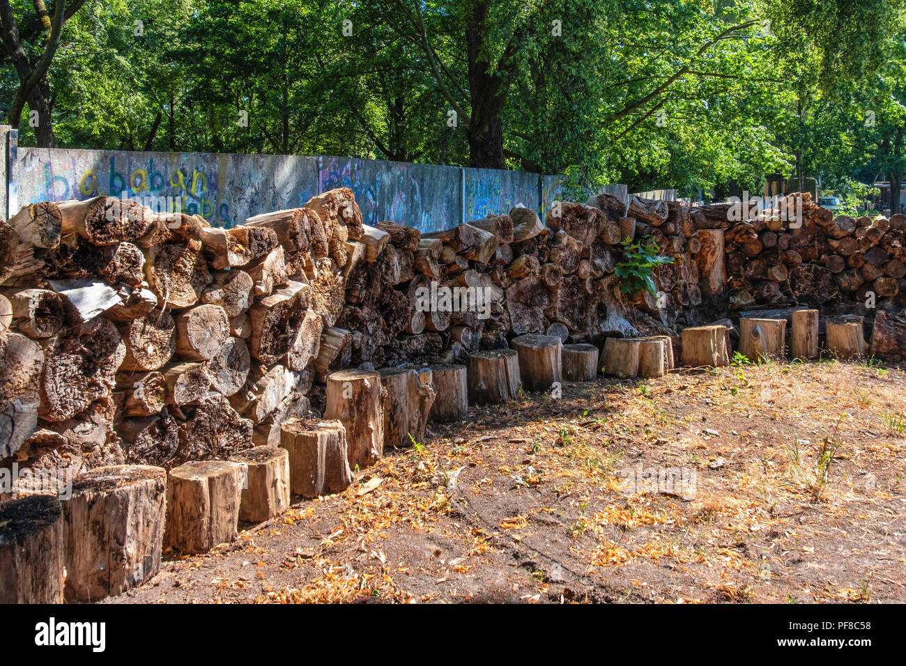 Berlino, Mitte.Niemandsland. Garten, No Mans Land giardino. Parete di vecchi log in Chiesa comunità progetto giardino dietro la Cappella della Riconciliazione il cemete Foto Stock