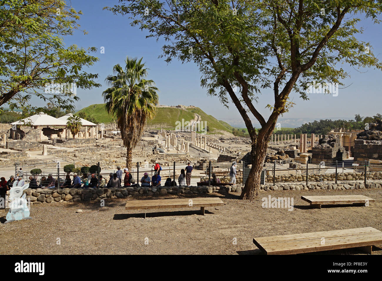 Israele, Bet Shean vista generale. Durante il periodo ellenistico Bet Shean aveva una popolazione greca e fu chiamato Scythopolis. Nel 64 A.C. fu preso da t Foto Stock