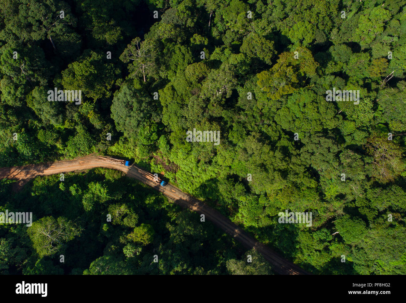 Drone foto di caricare i camion di registrazione su una strada di registrazione attraverso Deramakot riserva forestale, Sabah Malaysian Borneo Foto Stock