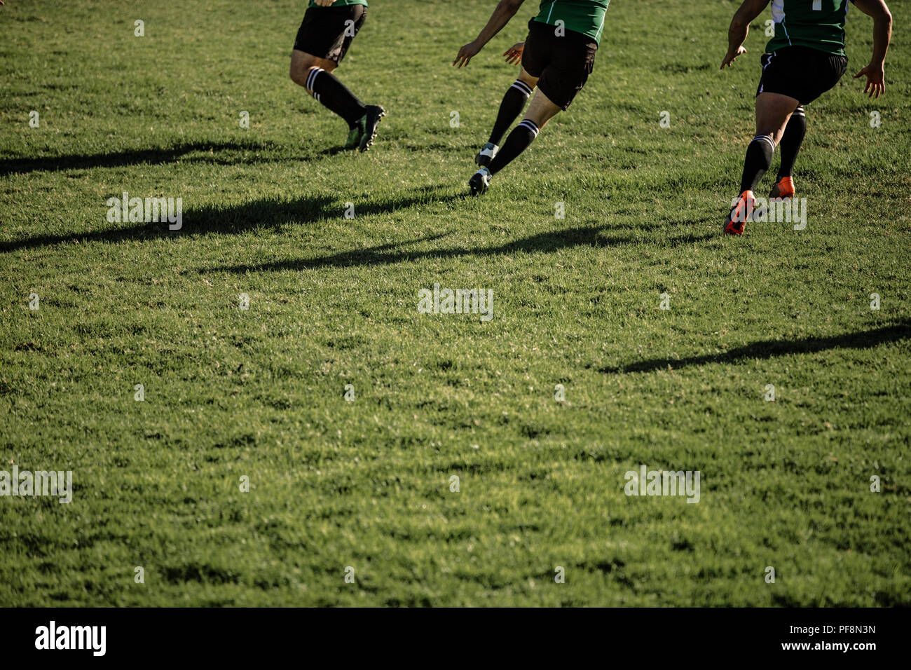 giocatori di rugby che corrono sul campo durante una partita. Piedi di giocatori professionisti di rugby che giocano una partita in campo. Foto Stock