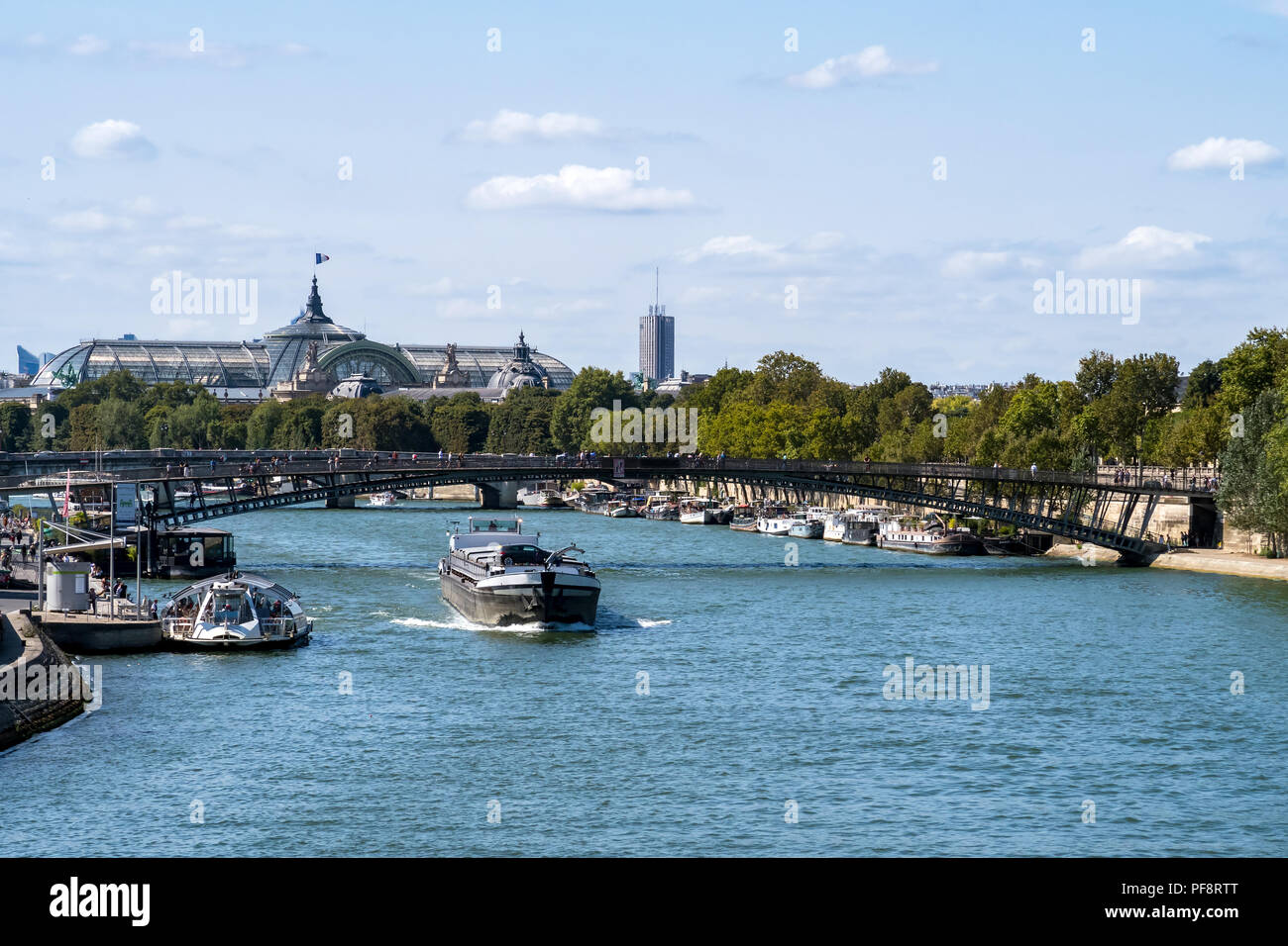 Vista dal Pont Royal - Parigi Foto Stock