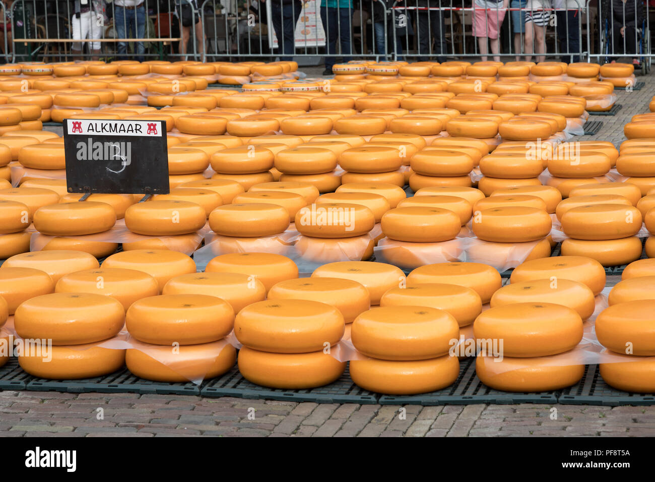 Alkmaar, Paesi Bassi - 01 Giugno 2018: le righe di una pila di Giallo rotondo formaggi al mercato del formaggio Foto Stock