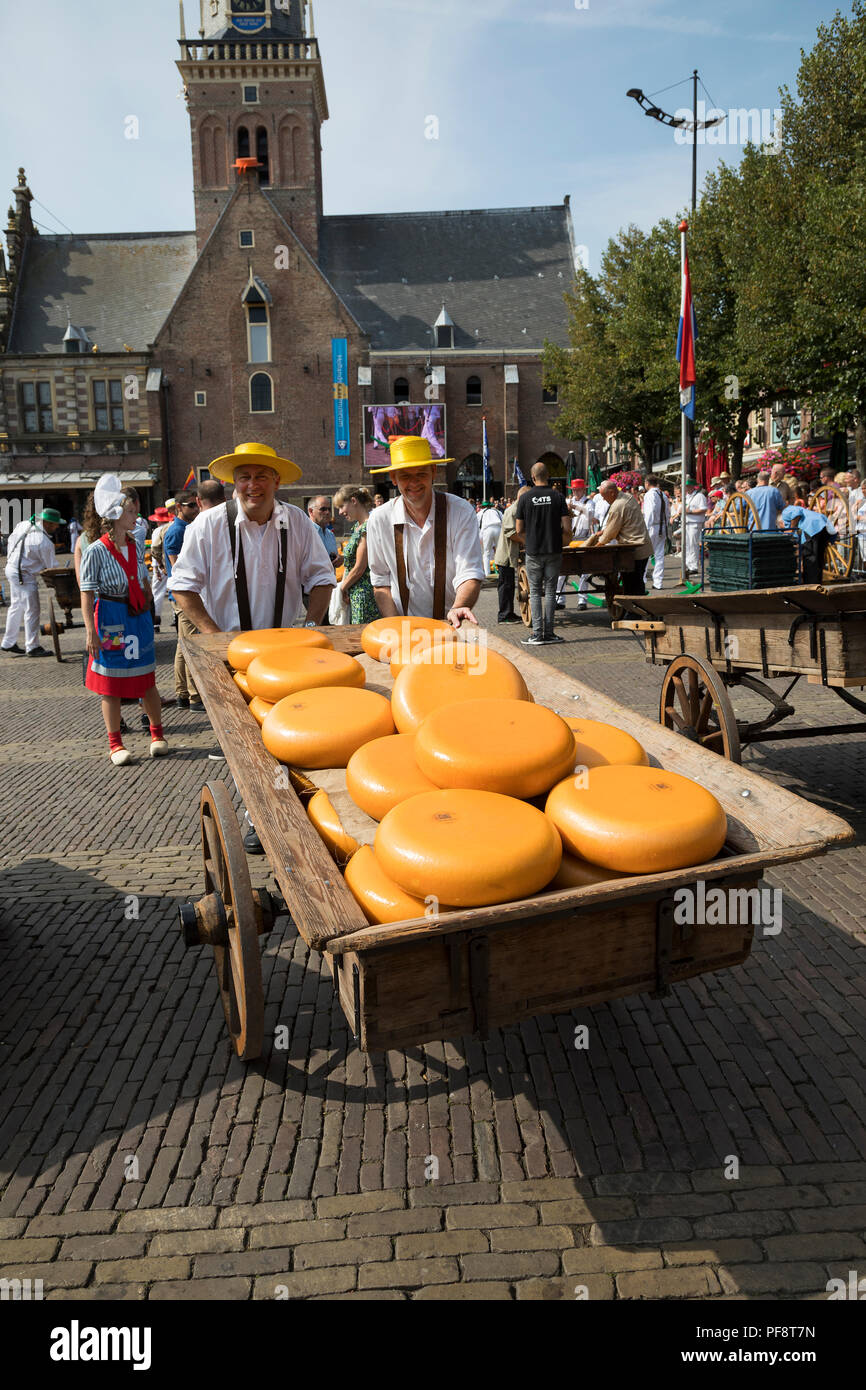 Alkmaar, Paesi Bassi - Luglio 20, 2018: coppia di uomini spingendo un tradizionale carrello di legno caricate con formaggio ruote dopo beiing venduti al mercato del formaggio ho Foto Stock