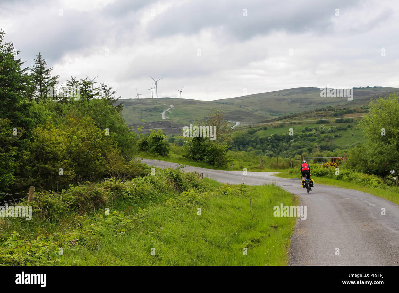Una touring ciclista arrotonda un piegare nella campagna irlandese sulla parte del sentiero Kingfisher in County Fermanagh. Foto Stock