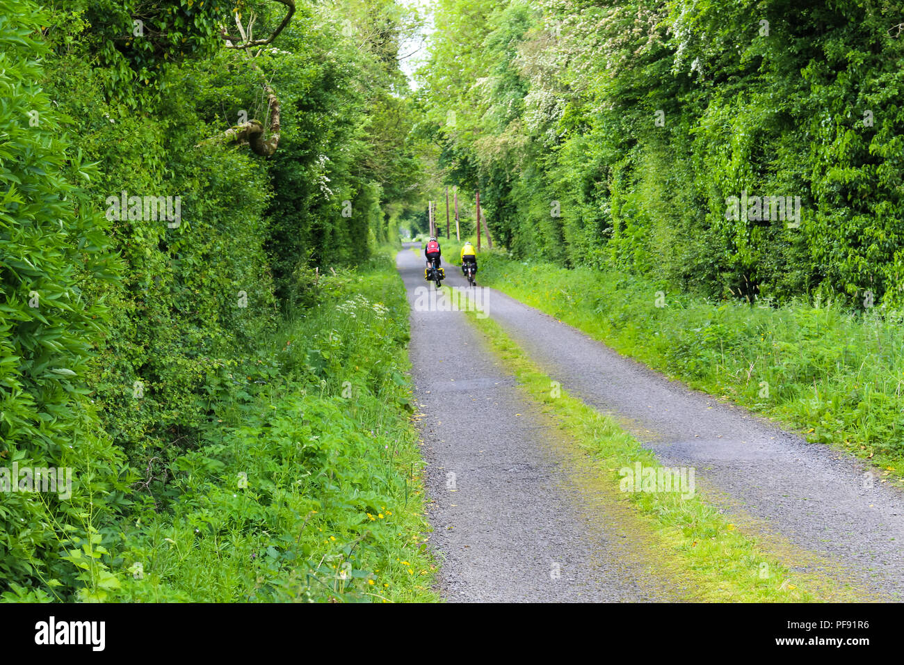 Due cicloturisti andare giù una tranquilla strada tranquilla, con l'erba che cresce in mezzo, nella campagna irlandese. Foto Stock