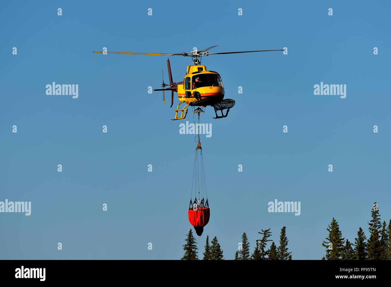 Un'immagine orizzontale di un giallo elicottero che trasporta un secchio di acqua a un incendio di foresta nelle zone rurali di Alberta in Canada. Foto Stock