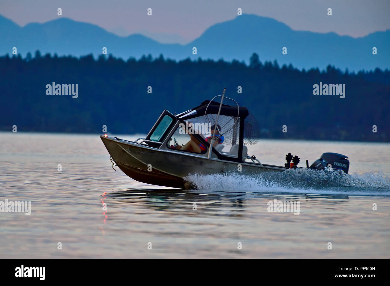 Un'immagine orizzontale di un veloce movimento di imbarcazione a motore che viaggia lungo l'acqua nella luce della sera sullo Stretto di Georgia vicino a Vancouver Island British colonna Foto Stock