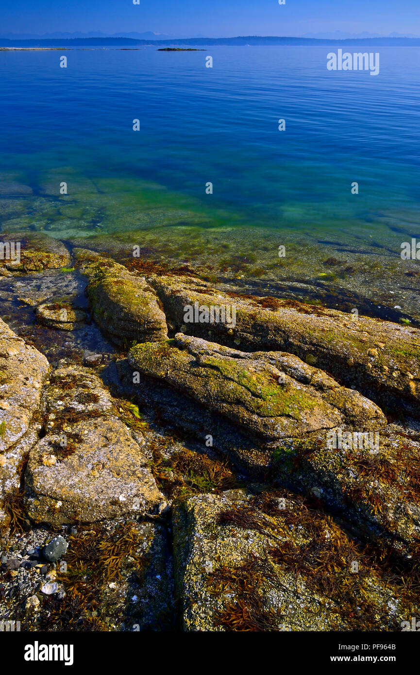 Un paesaggio verticale di una costa rocciosa sull'Isola di Vancouver British Columbia Canada. Foto Stock