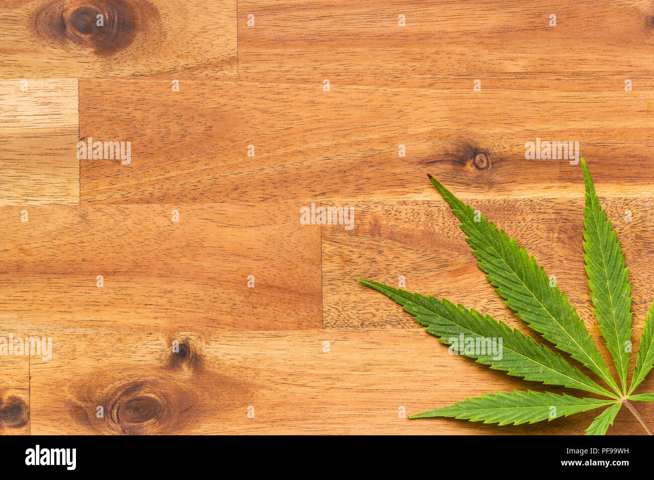 Verde foglia di cannabis su un tavolo di legno. Foto Stock