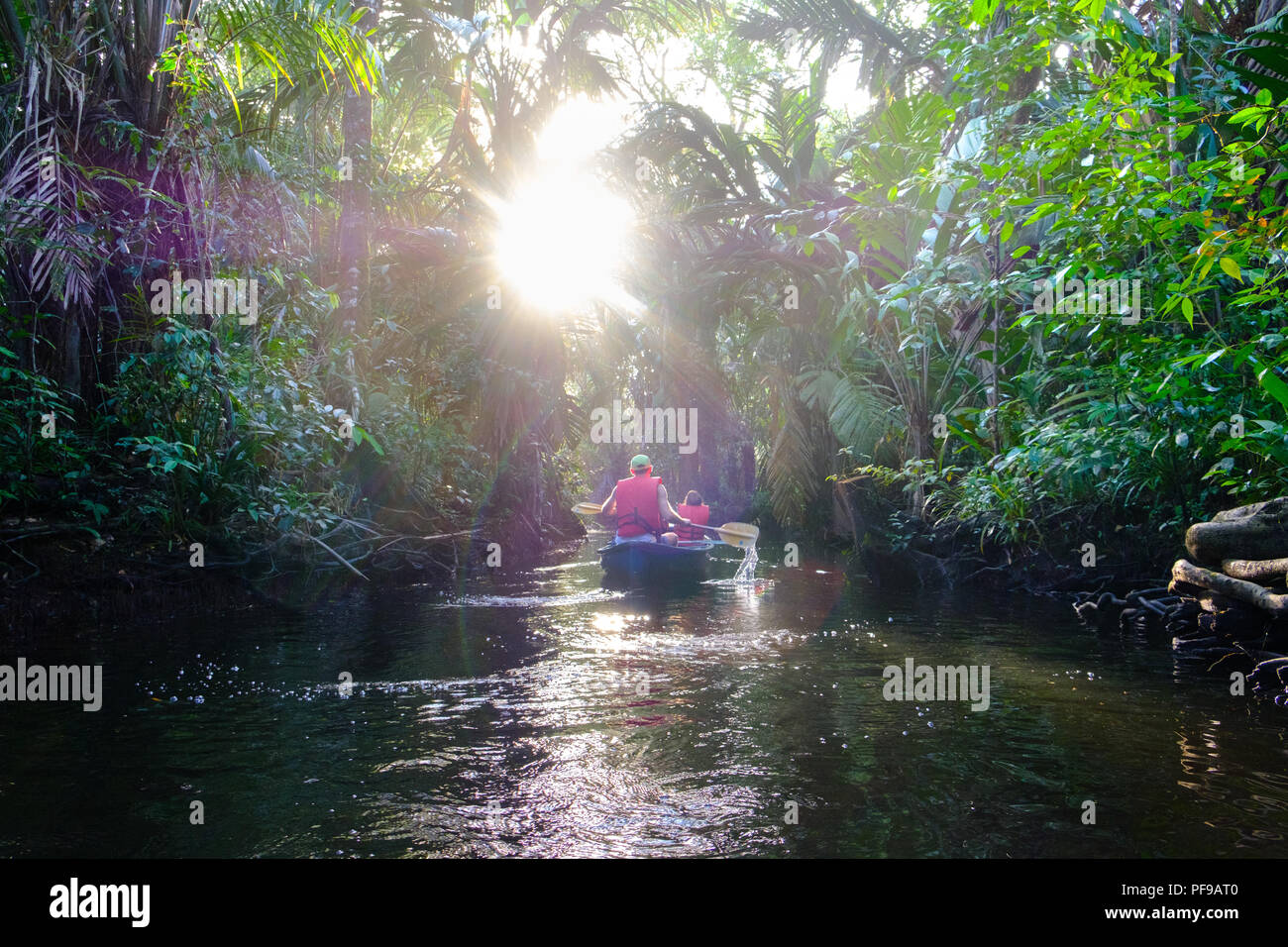 Escursione in canoa nella selvaggia regione Tortugero Foto Stock