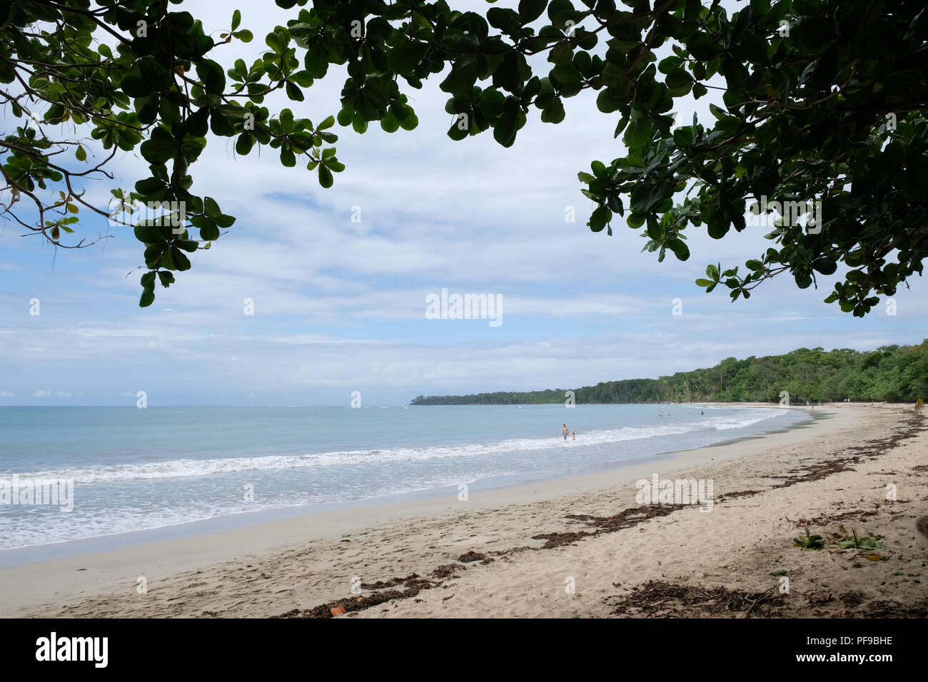 Bella e tranquilla spiaggia di Cahuita park Foto Stock