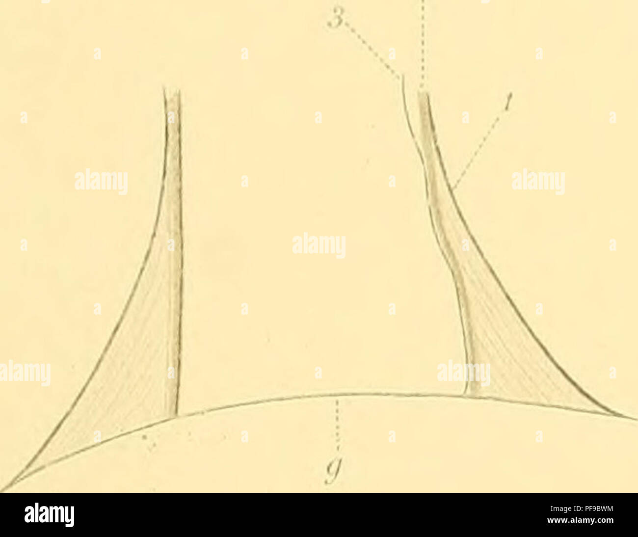 . Deutsche SÃ¼dpolar-Spedizione, 1901-1903, im Auftrage des Reichsamtes des Innern. Gauss (nave); spedizioni scientifiche; Antartide. ^ // y ^ rx. m r 0:00 % ^ ' .V.^' ' O' â 0 ,â 0 0 CZ-&LT; "". Si prega di notare che queste immagini vengono estratte dalla pagina sottoposta a scansione di immagini che possono essere state migliorate digitalmente per la leggibilità - Colorazione e aspetto di queste illustrazioni potrebbero non perfettamente assomigliano al lavoro originale. Deutsche SÃ¼dpolar-spedizione (1901-1903); Drygalski, Erich von, 1865-1949. Berlino, G. Reimer Foto Stock