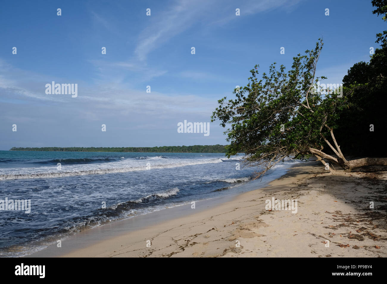 Bella e tranquilla spiaggia di Parco Nazionale Cahuita Foto Stock