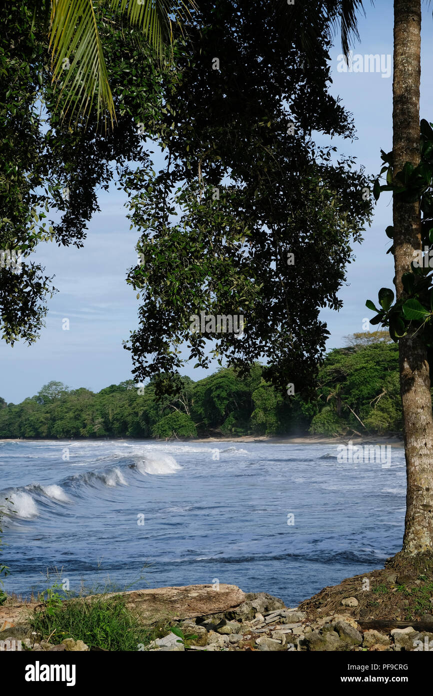 Cahuita costa Foto Stock