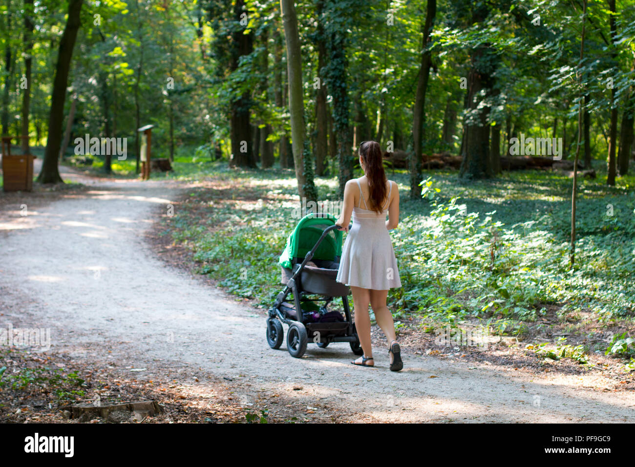 La natura a piedi con il passeggino, vista posteriore del giovane femmina nel bel vestito camminando sul percorso con il suo bambino nel passeggino Foto Stock