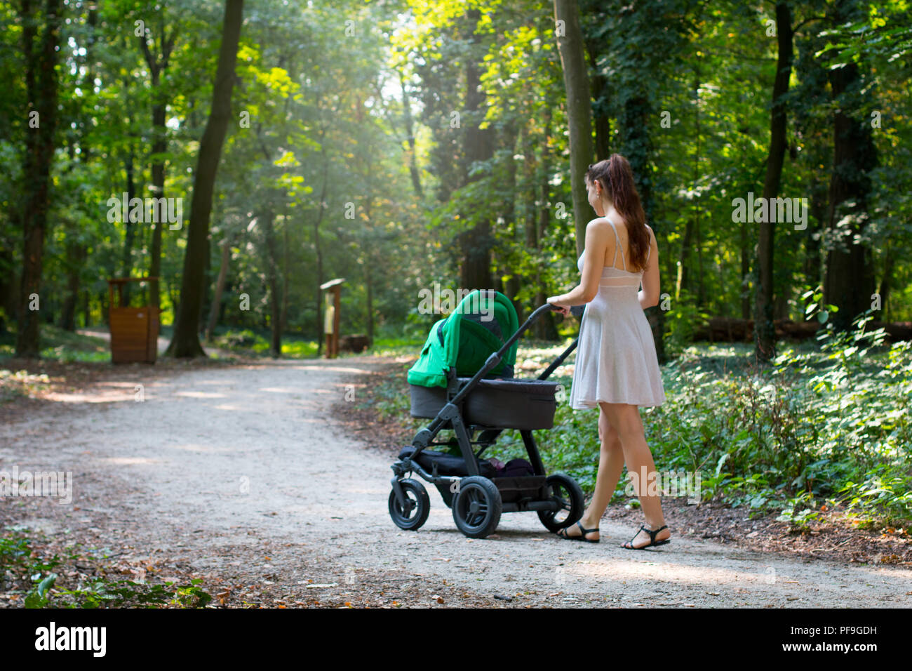 Donna in abito a piedi con il contenuto della PRAM, circondato da una bella natura, pram camminare sul marciapiede in forrest park, genitorialità la madre e il bambino al di fuori Foto Stock