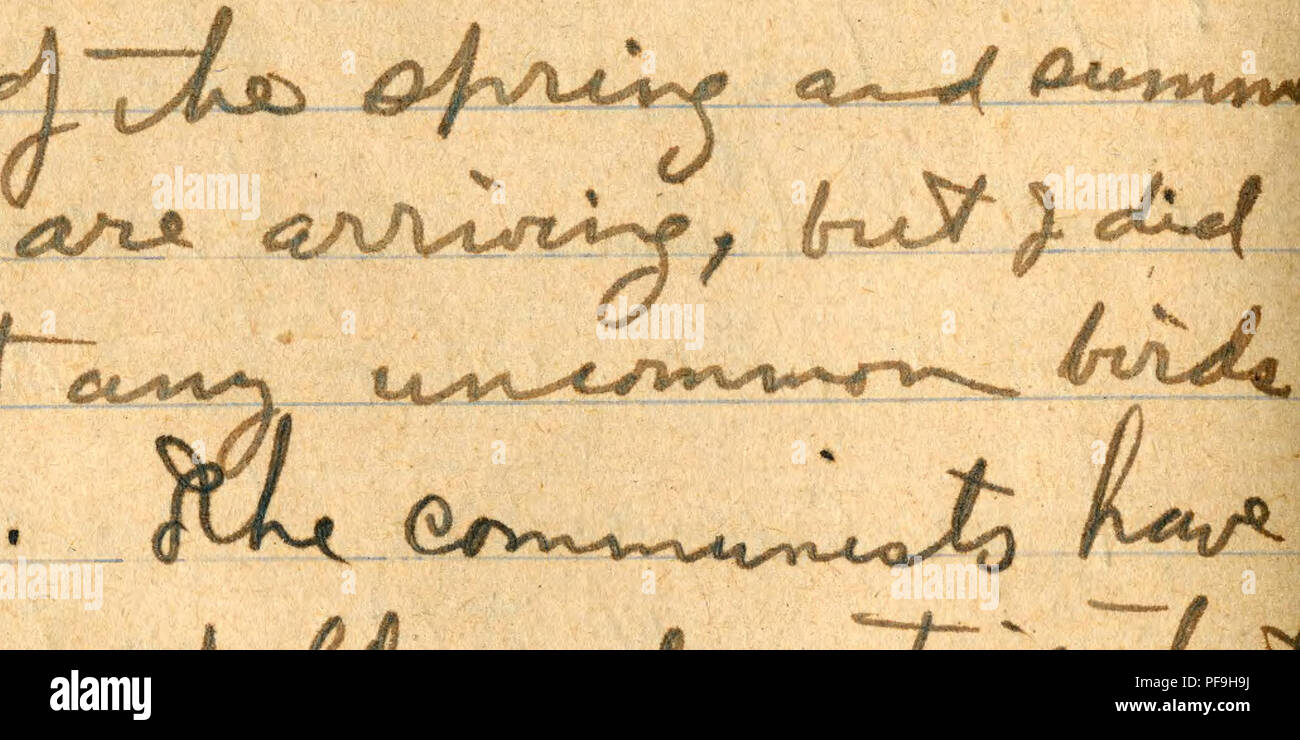 . Diario n. II [2], Gennaio 29, 1928-Maggio 27, 1928. Entomologia; ornitologia; Mammalogy; Ittiologia; . . Si prega di notare che queste immagini vengono estratte dalla pagina sottoposta a scansione di immagini che possono essere state migliorate digitalmente per la leggibilità - Colorazione e aspetto di queste illustrazioni potrebbero non perfettamente assomigliano al lavoro originale. Graham, David Crockett. Foto Stock