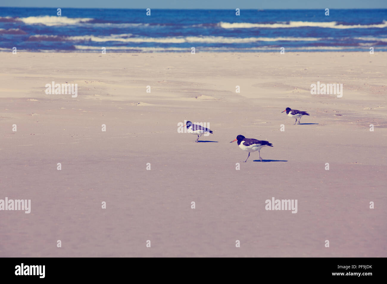 Europa Germania Nordsee Instagramm Style Foto Stock