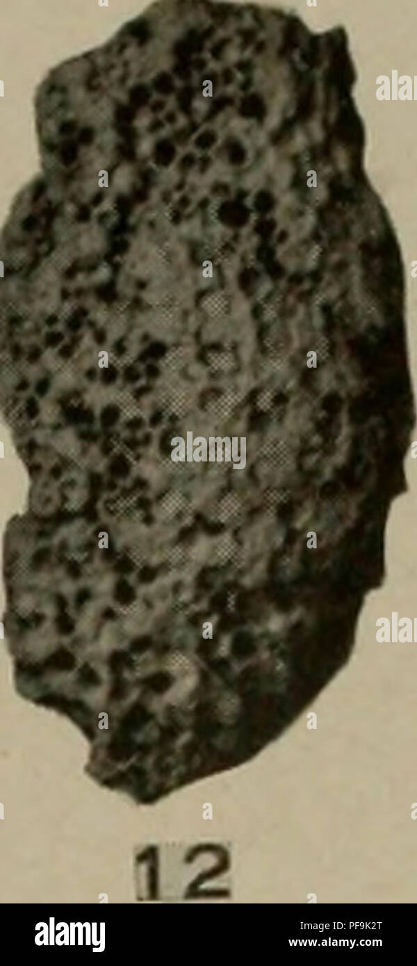. Il Devoniano del Missouri. Geologia; Geologia stratigrafica; Paleontologie; Devoon. &Amp;M 15. 13. Si prega di notare che queste immagini vengono estratte dalla pagina sottoposta a scansione di immagini che possono essere state migliorate digitalmente per la leggibilità - Colorazione e aspetto di queste illustrazioni potrebbero non perfettamente assomigliano al lavoro originale. Branson, E. B. (Edwin Bayer), 1877-1950; Tansey, Vivian Ouray; Stewart, Grazia Anne, 1893-. Rolla, Mo. , Missouri Bureau di geologia e miniere Foto Stock