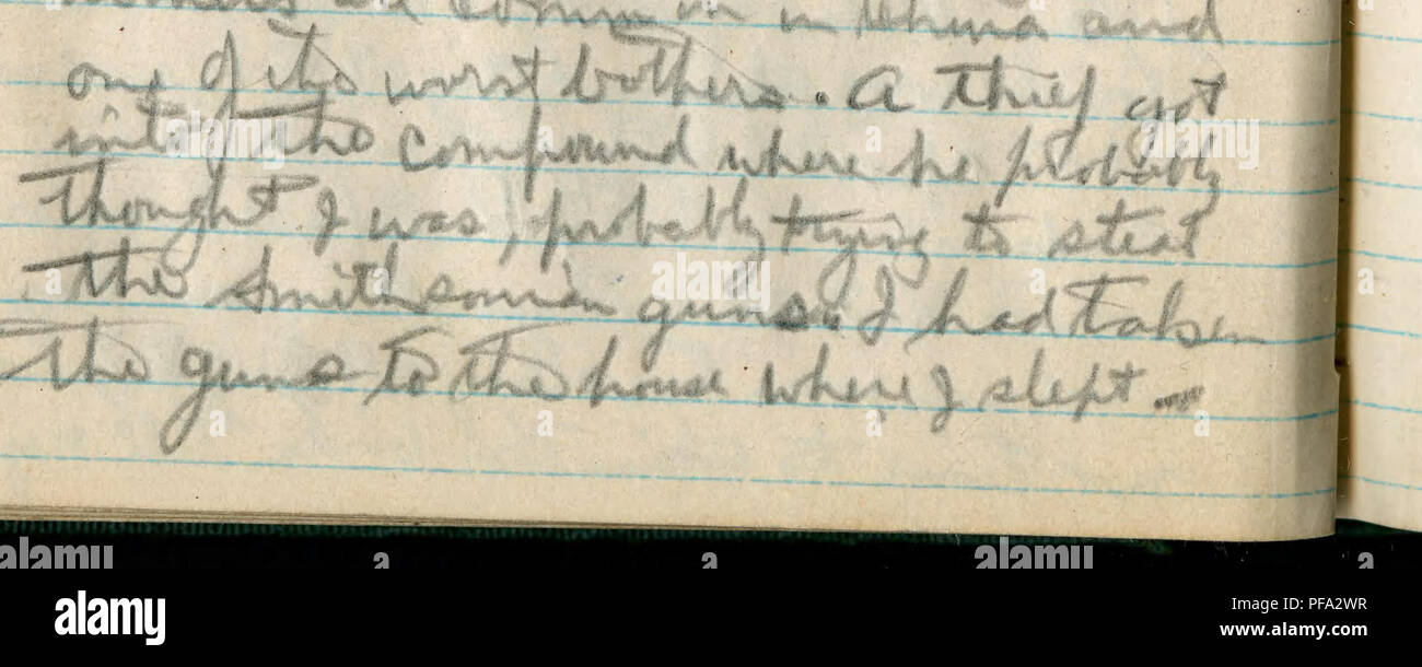 . Diario, 27 gennaio 1924 al 21 settembre 1924. Entomologia; ornitologia; Mammalogy; Herpetology; . Settembre, 1924. i4i stfMoon. Martedì. Bffll0^Affi^ CTKVfc, JU'*&GT;'&GT;â^^""^^^ â â ¢^VÂ".v&lt;i-Z2vÂ"*-&LT;:"Vw- rf!t-Â"Â"^. Si prega di notare che queste immagini vengono estratte dalla pagina sottoposta a scansione di immagini che possono essere state migliorate digitalmente per la leggibilità - Colorazione e aspetto di queste illustrazioni potrebbero non perfettamente assomigliano al lavoro originale. Graham, David Crockett. Foto Stock