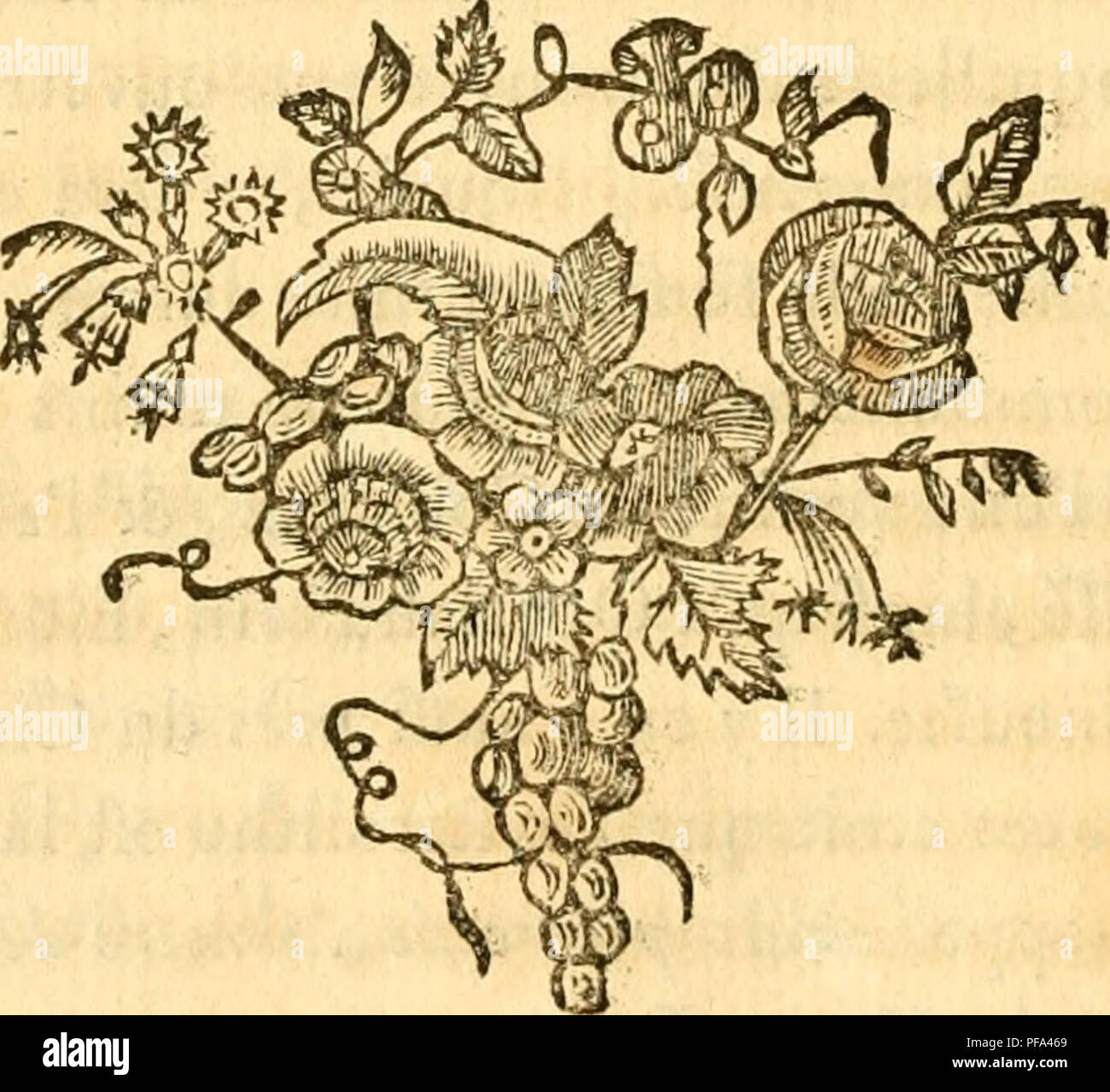 . Dictionnaire raisonnÃ© universel d'histoire Naturelle : contenant l'histoire des animaux, des vÃ©gÃ©taux et des minÃ©raux, et celle des corps cÃ©lestes, des mÃ©tÃ©minerali, &AMP; des autres principaux phÃ©nomenes de la natura; avec l'histoire et la description des drogues simples tirÃ©es des Trois regnes ... plus, une tabella concordante des noms latini .... Storia naturale -- Francese. 4È H Y S H y V tagnes, Tune Ã priapolites, &amp;c l'autre Ã hyftÃ©rolithes , Ã©toient voifines l'une de l'autre , 5c qu'onu tremblement de terre les fÃ®t heurter &AMP; fondre enfemble, au point que les deux genres de Foto Stock