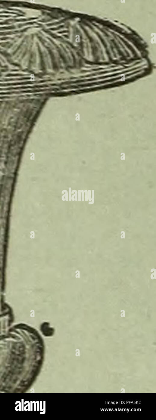 Questo catalogo comprende prodotti floricoli di alta qualità, tra cui vasi da fiore, stativi per felci e attrezzi da giardinaggio. Gli articoli sono realizzati in resistente argilla tagliafuoco e sono progettati per resistere alle condizioni atmosferiche, garantendo longevità e praticità per l'uso in giardino. Foto Stock Questo catalogo comprende prodotti floricoli di alta qualità, tra cui vasi da fiore, stativi per felci e attrezzi da giardinaggio. Gli articoli sono realizzati in resistente argilla tagliafuoco e sono progettati per resistere alle condizioni atmosferiche, garantendo longevità e praticità per l'uso in giardino. Foto Stock