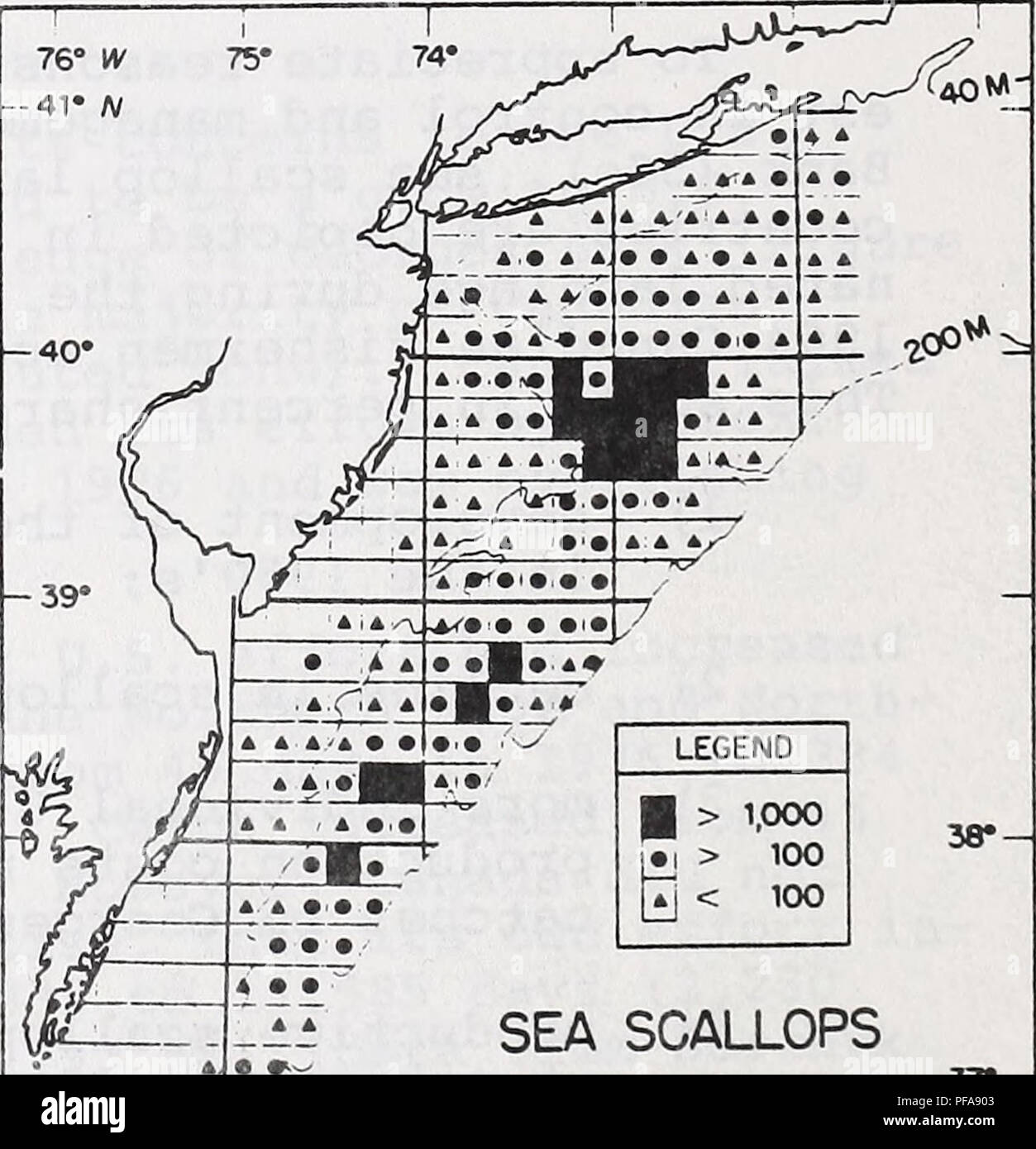 . Sviluppo e evoluzione di capesante di mare pesca piano di gestione. Scaloppina alla pesca; Pesca; gestione della pesca; pesca. '000 â 100 '00 capesante di mare !967- W7 u 5 SBARCHI CARNE W !LBSÂ"KD:) La figura 4. Distribuzione geografica degli Stati Uniti capesante di mare sbarchi (migliaia di sterline, carni) da Georges Bank, 1967-1977. 76Â° W â 4T N. rÂ"ft | &gt; 1.000 100 100 di capesante di mare 1966- 76 U. S. gli sbarchi in peso di carne (lb x 10-3) 37* - 73* 36* la figura 5. Distribuzione geografica degli Stati Uniti capesante di mare sbarchi (migliaia di sterline, carni) dall'Mid-Atlantic, 1966-1976. Si prega di notare tha Foto Stock