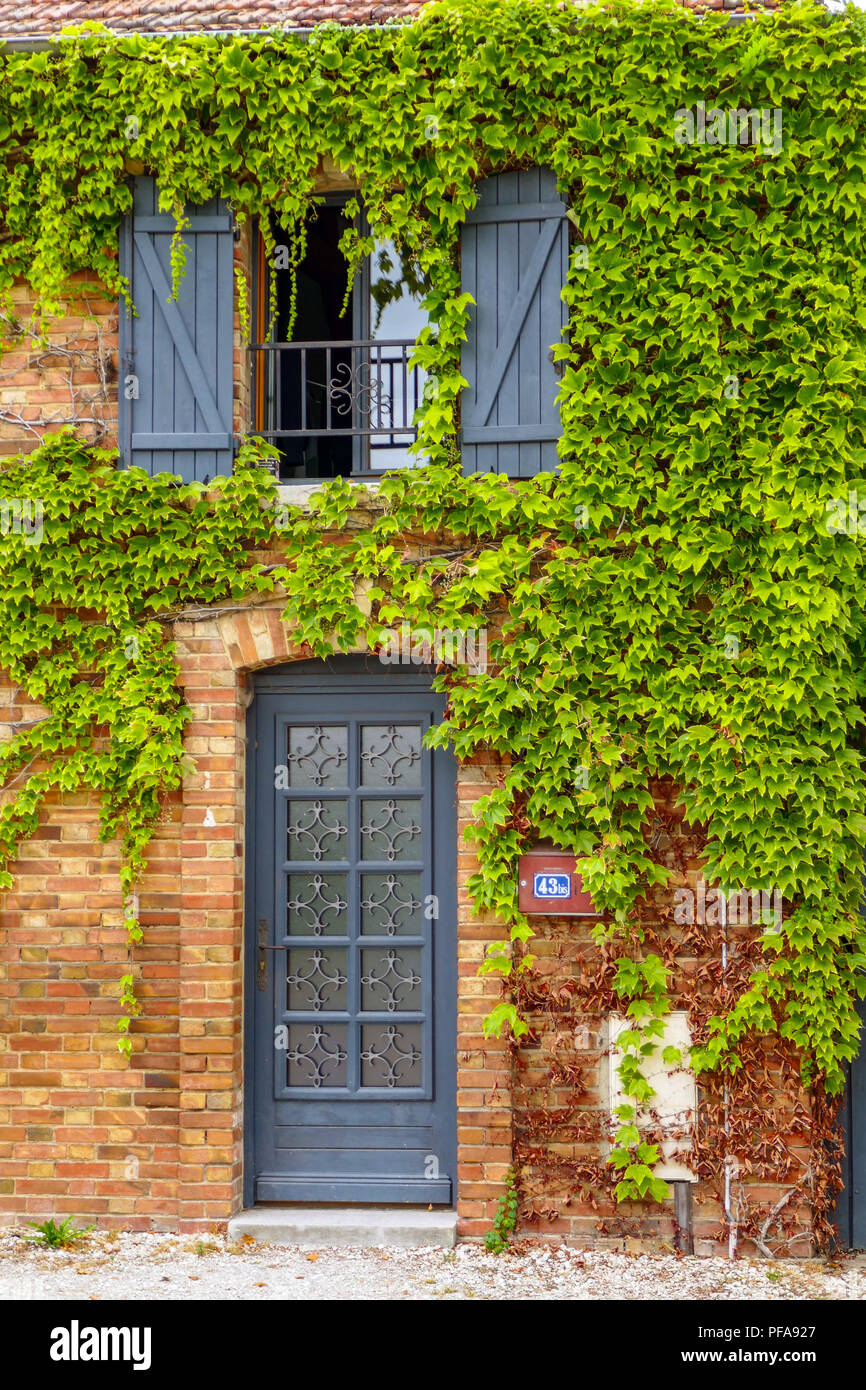 Vecchia casa di edera che crescono su di un muro, Lac d'Orient e Mesnil-St-Pere, Champagne Ardenne, Regione Aube, Francia Foto Stock