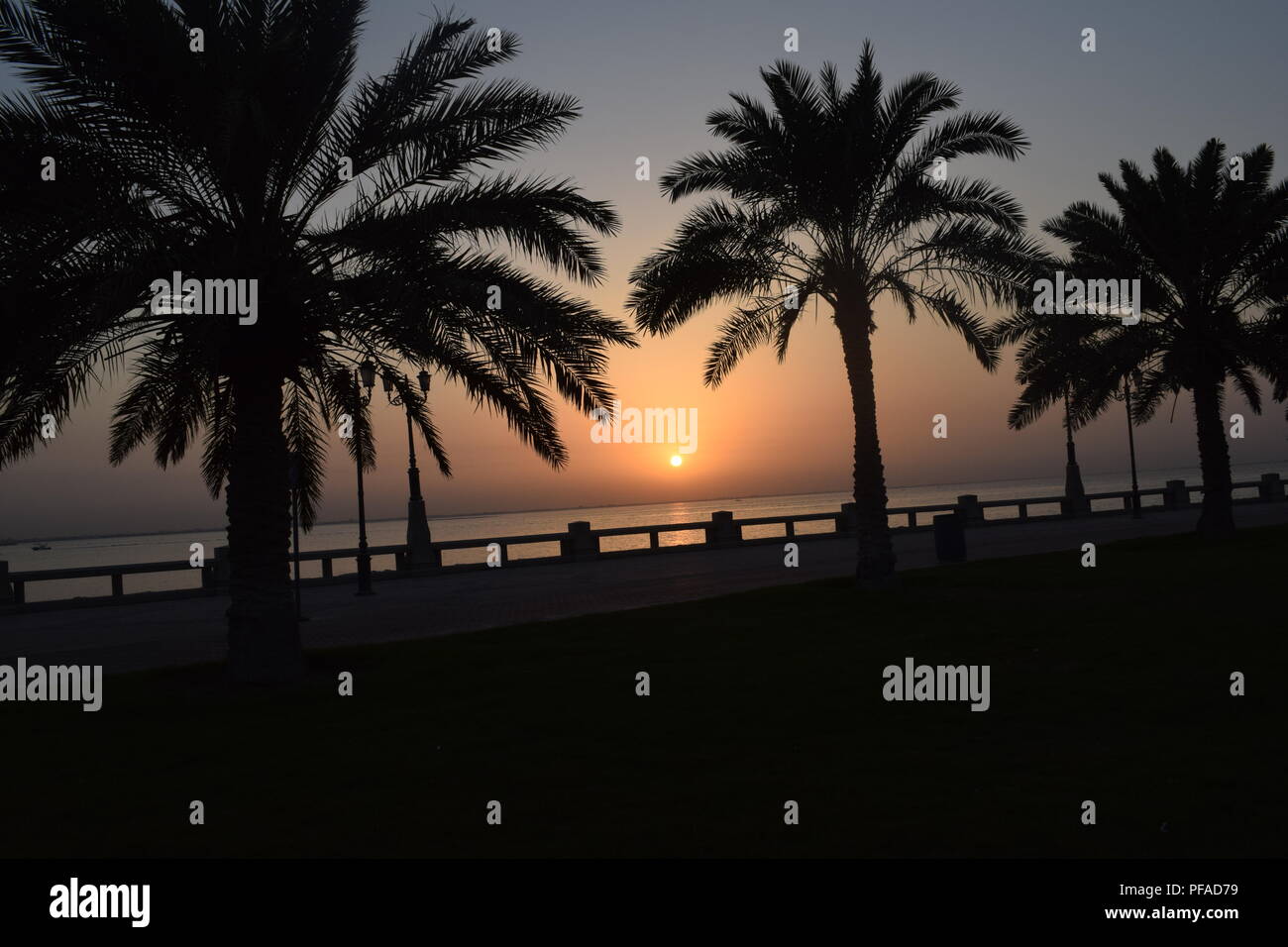Palme stagliano contro un Cielo di tramonto durante il tramonto nella città di Dammam Foto Stock