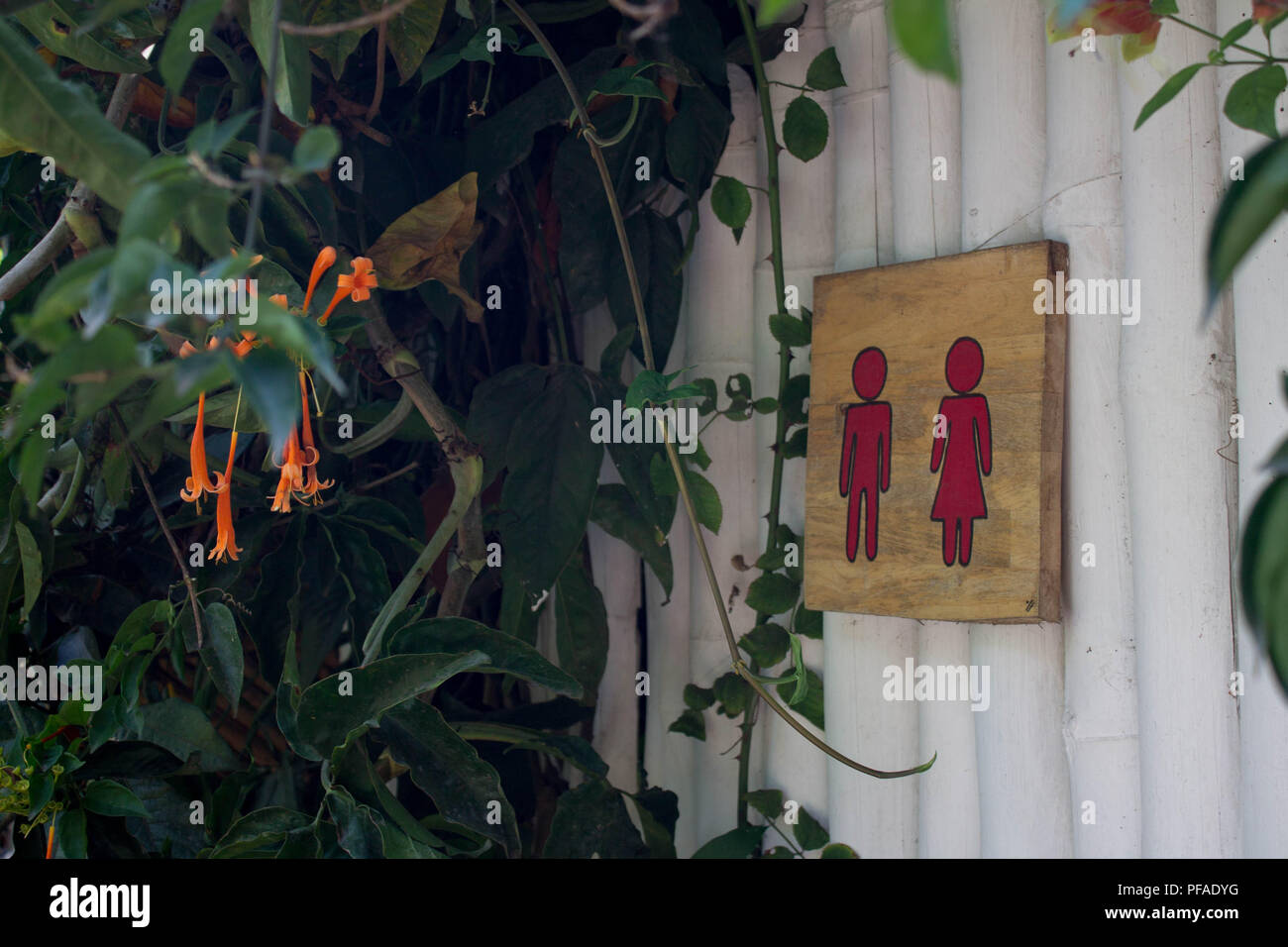 Bagno signage su un bagno in un giardino in America centrale Foto Stock