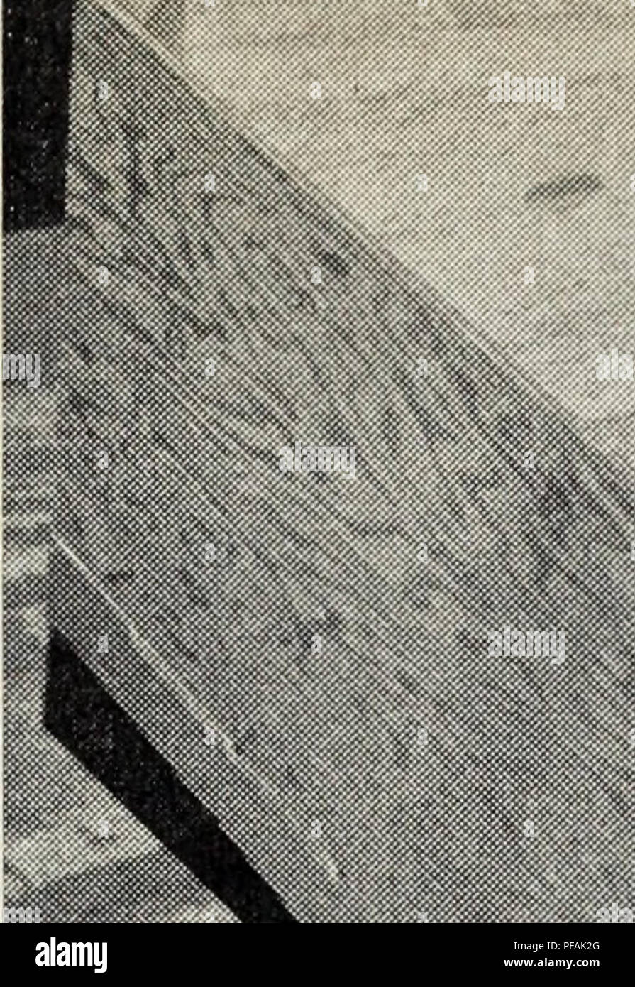 . Disegni per sfusi cestini di frutta. Scomparti; frutta. . Si prega di notare che queste immagini vengono estratte dalla pagina sottoposta a scansione di immagini che possono essere state migliorate digitalmente per la leggibilità - Colorazione e aspetto di queste illustrazioni potrebbero non perfettamente assomigliano al lavoro originale. O'Brien, Michael, 1918-. [Berkeley, California ] : Divisione di Scienze Agricole, Università di California Foto Stock