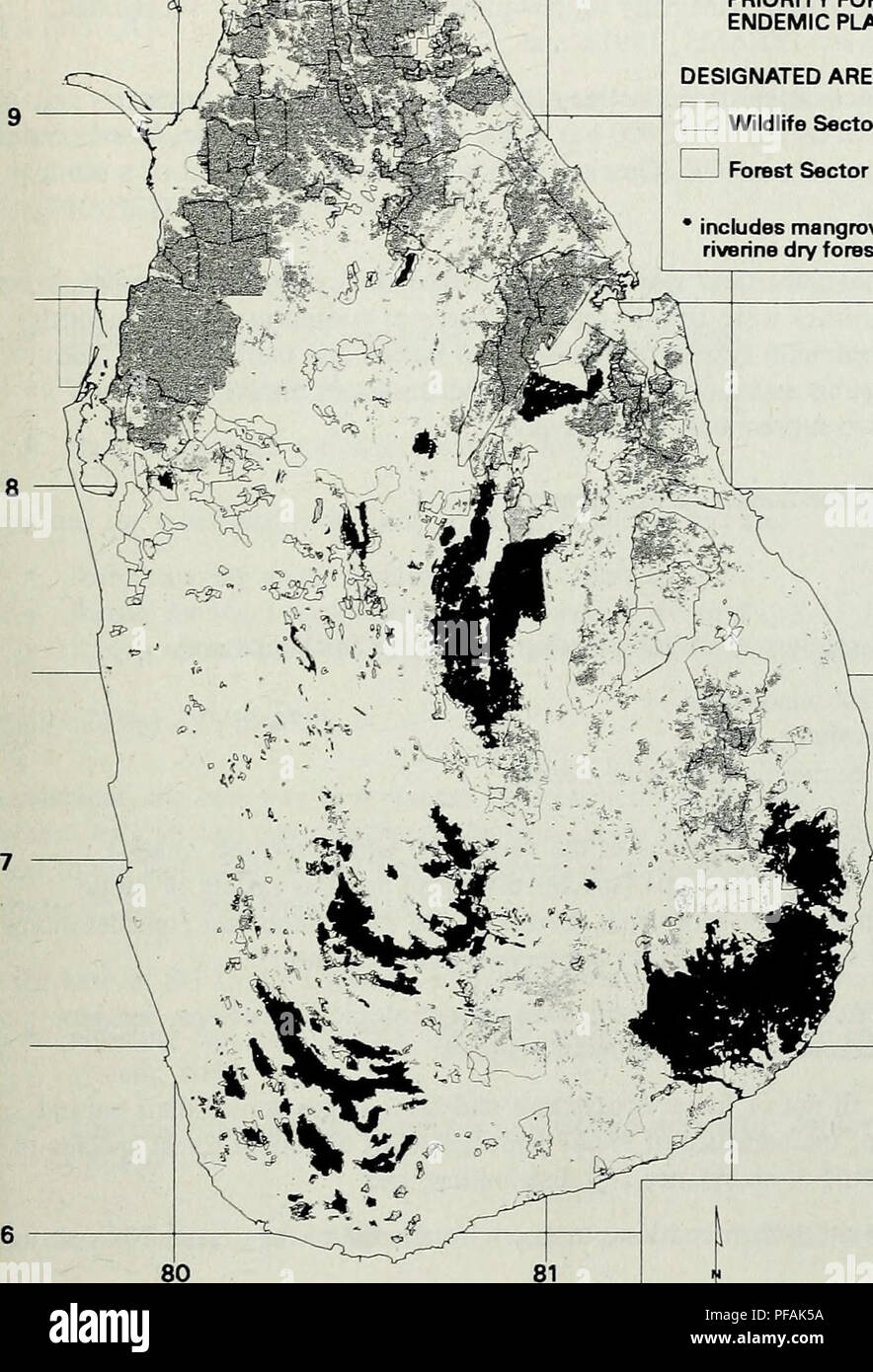 . La progettazione di un ottimale aree protette sistema per lo Sri Lanka le foreste naturali. Il volume 1. Spartiacque, piante endemiche e animali. Chiave tettoia chiusa foreste â ¢ Ki UNSURVEYED intervistati - bassa priorità di conservazione â intervistati - alta priorità di conservazione per gli spartiacque, piante endemiche e animali nelle aree designate Wildlife Settore 1 ! Settore forestale * include la mangrovia e fluviali foreste asciutte. FYojection Azimiithal Lambert, CM 81 dsgmsE, Lat del Centro Proj 8 degraes 82 50 100km Febniary 1997 figura 7.5 rete minima delle foreste contigue di assoluta priorità per la protezione watersiied e rappresentazione o Foto Stock