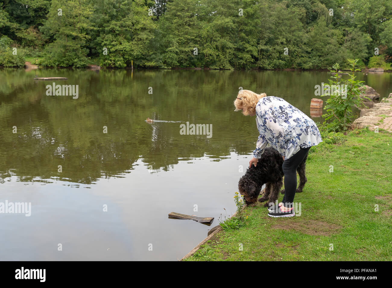 Coppia bionda signora sorge sul lato del lago a tre sorelle natura locale riserva, tre sorelle Road, Ashton-In-Makerfield, Wigan con il suo nero Foto Stock