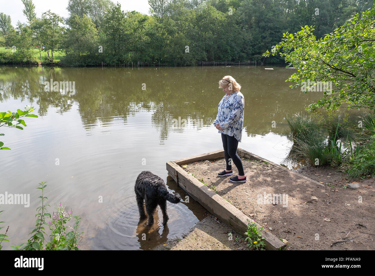 Coppia bionda signora sorge sul lato del lago a tre sorelle natura locale riserva, tre sorelle Road, Ashton-In-Makerfield, Wigan con il suo nero Foto Stock