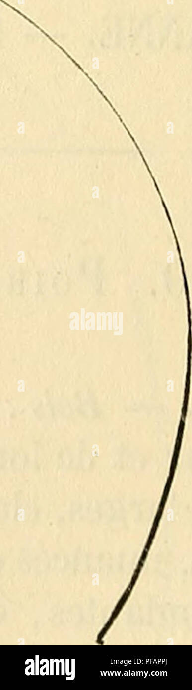 . Dictionnaire de pomologie : contenant l'histoire, la descrizione, la figura di frutti des Anciens et des frutti modernes les plus généralement connus et cultivés. Frutta. . Si prega di notare che queste immagini vengono estratte dalla pagina sottoposta a scansione di immagini che possono essere state migliorate digitalmente per la leggibilità - Colorazione e aspetto di queste illustrazioni potrebbero non perfettamente assomigliano al lavoro originale. Leroy, André, di Sceaux. Angers : Chez l'autore. .. Foto Stock