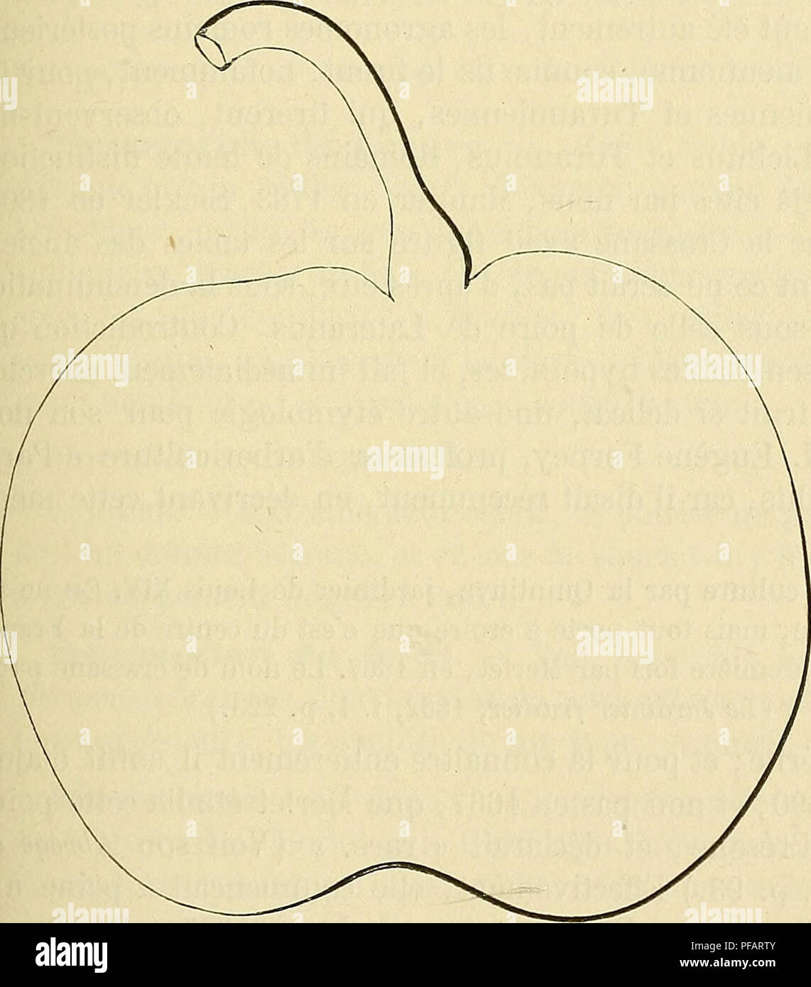 . Dictionnaire de pomologie : contenant l'histoire, la descrizione, la figura di frutti des Anciens et des frutti modernes les plus gÃ©nÃ©ralement connus et cultivÃ©s. Frutta. BER [bergamote comâcra] 231 Poire BERGAMOTE COMUNE. Â Synonyme de Bergamote d'Automne. Yoir ce nom. Poire BERGAMOTE CRAPAUD. Â Synonyme de Bergamote Bufo. Voir ce nom. 109. Poire BERGAMOTE CRASSANE. Synonymes. Â Poires : 1. Bergamote crÃ©sane (Merlet, l'AbrÃ©gÃ© des Bons frutti, Ã©dition de 1690, p. 92). Â 2. Bergamote de CrÃ©sane (Dom Gentil, Le Jardinier solitaire, Ã©dition de 1723^ p. 51). Â 3. BeurrÃ© plat ( la Quintiny Foto Stock