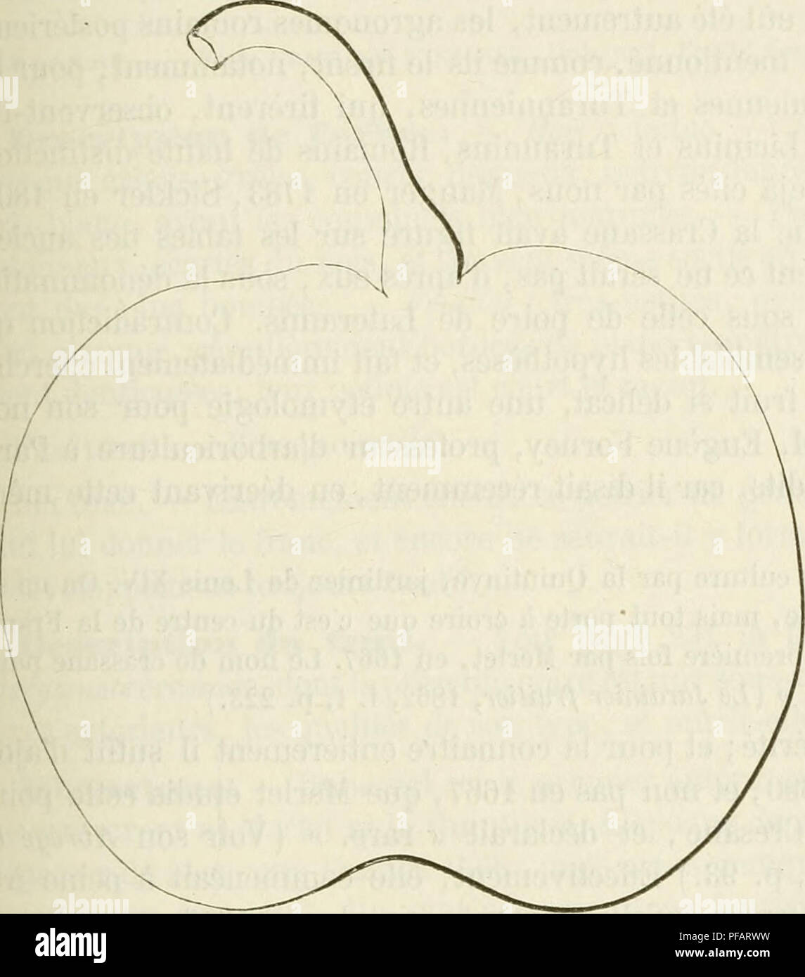 . Dictionnaire de pomologie, contenant l'histoire, la descrizione, la figura di frutti des Anciens et des frutti modernes les plus gÂ©nÂ©ralement connus et cultivÂ©s. Frutti-coltura. BER [bergamote comâcra] 231 Poire BERGAMOTE COMUNE. Â Synonyme de Bergamote d'Automne. Voir ce nom. Poire BERGAMOTE CRAPAUD. Â Synonyme de Bergamote Bufo. Voir ce nom. 109. Poire BERGAMOTE CRASSANE. Synonymes. Â Poires : 1. Bergamote crÃ©sane (Merlet, l'AbrÃ©gÃ© des Bons frutti, Ã©dition de 1G90, p  92j. Â 2. Bergamote de CrÃ©sane (Doiu Gentil, Le Jardinier solitaire, Ã©dition de 1723, p. 51). 3. BeurrÃ© plat ( la qu Foto Stock