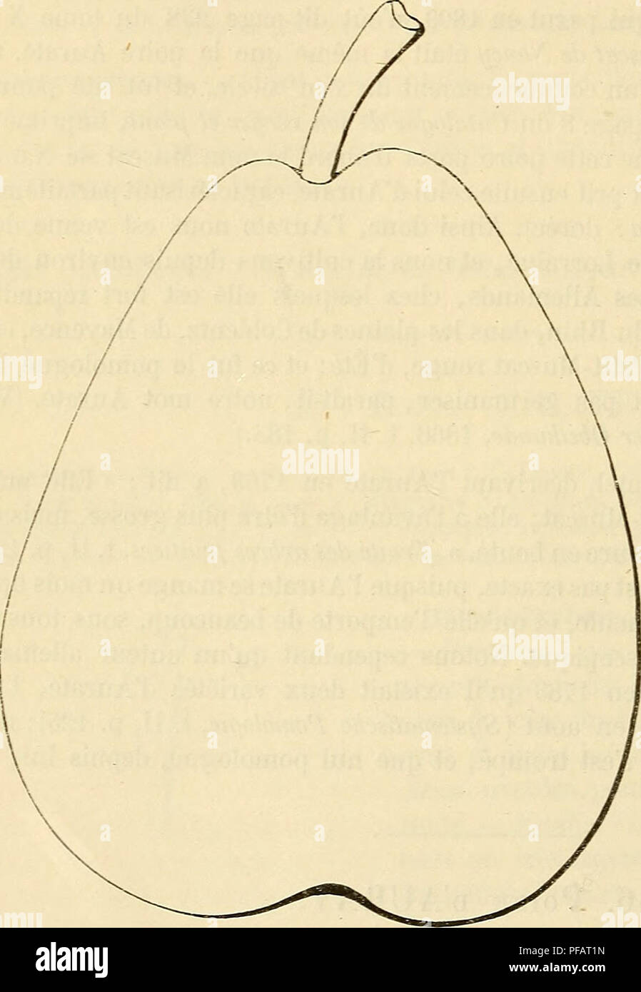 . Dictionnaire de pomologie : contenant l'histoire, la descrizione, la figura di frutti des Anciens et des frutti modernes les plus gÃ©nÃ©ralement connus et cultivÃ©s. Frutta. 172 AURâAVE moyenne, gros, Arquà©, renflÃ© Ã figlio extrÃ©mitÃ© supÃ©rieure, obliquement insÃ©rÃ© dans un grande Ã©vasement qui d'habitude est surmontÃ© d'une forte protubÃ©rance. Â Åil: moyen, mi-clos, peu dÃ©veloppÃ©, peu enfoncÃ©. Â Peau : rude au toucher, bronzÃ©e, semÃ©e de quelques punti et de quelques fermagli verdÃ tres. Â Sedia : blanchÃ¢tre, demi-dente, demi-cassante, pierreuse auprÃ¨s des loges. Â Eau : assez abondante, Foto Stock