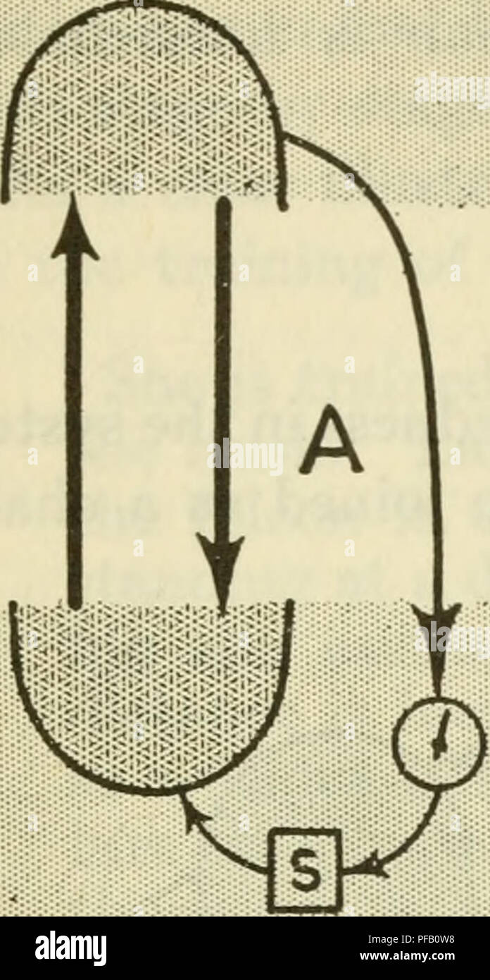 . Design per un cervello; l origine del comportamento adattivo. Calcolatrici; sistema nervoso centrale -- modelli matematici; comportamento; cervello -- fisiologia. 15/7 ADATTAMENTO IN ITERATO E SISTEMI DI SERIE L'ambiente. Si prega di notare che queste immagini vengono estratte dalla pagina sottoposta a scansione di immagini che possono essere state migliorate digitalmente per la leggibilità - Colorazione e aspetto di queste illustrazioni potrebbero non perfettamente assomigliano al lavoro originale. Ashby, William Ross. New York, Wiley Foto Stock