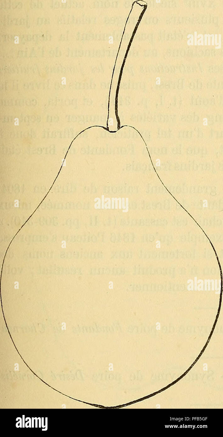 . Dictionnaire de pomologie : contenant l'histoire, la descrizione, la figura di frutti des Anciens et des frutti modernes les plus gÃ©nÃ©ralement connus et cultivÃ©s. Frutta. FON [fondante bre] 169 Poire fondante de Bresse. Â Synonyme de poire fondante di Brest. Voir ce nom. 509. Poire fondante di Brest. Synonymes. Â Poires: 1. Inconnue du Chesneau (dom Claude Saint-Etienne, istruzione nouvelle pour connaÃ®tre les bons frutti, Ã©dition de 1670, p. 59). Â 2. Inconnue-Chesneau ( Merlet, t'AbrÃ©gÃ© des Bons frutti, 1G75, p. 82).â 3. Fondante de Bresse ( dom le Gentil, Le Jardinier solitaire, 5e Ã©d Foto Stock